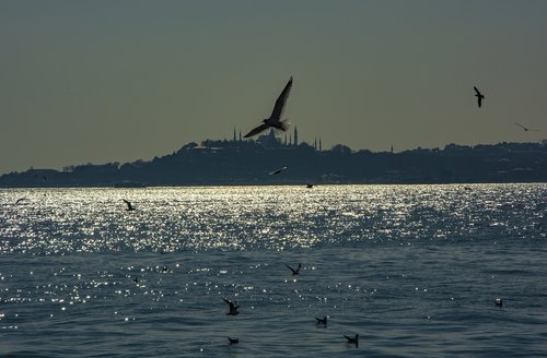 istanbul  marine  sky