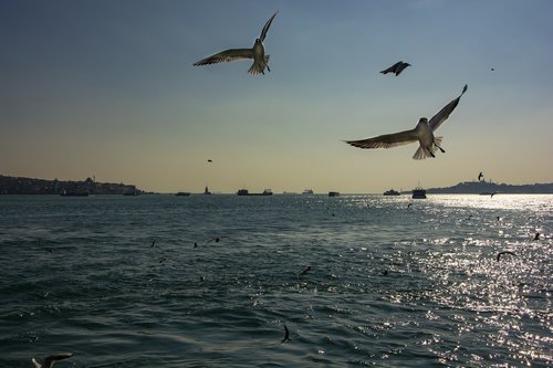 istanbul  marine  sky