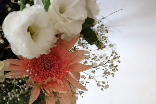 isyantus  daisy  bridal