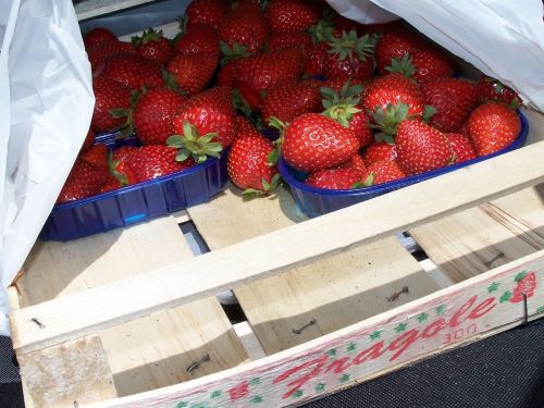 italian fruit strawberry