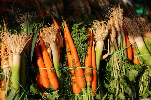 italian  vegetables  carrots