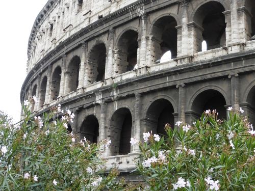 italy rome coliseum
