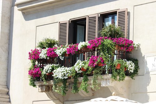 italy  window  city