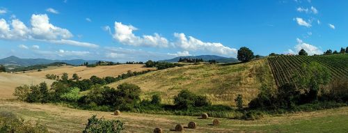 italy tuscany fields