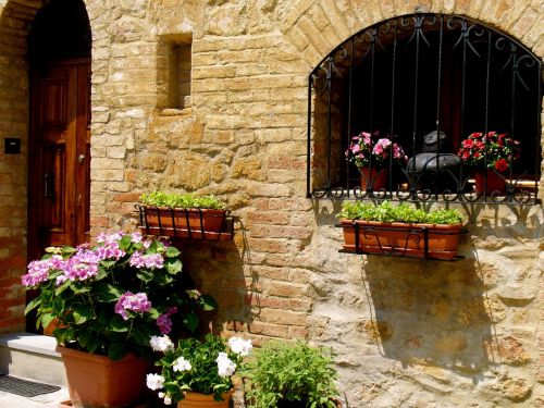 italy flowers window