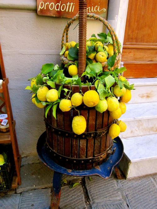 italy lemons fruit