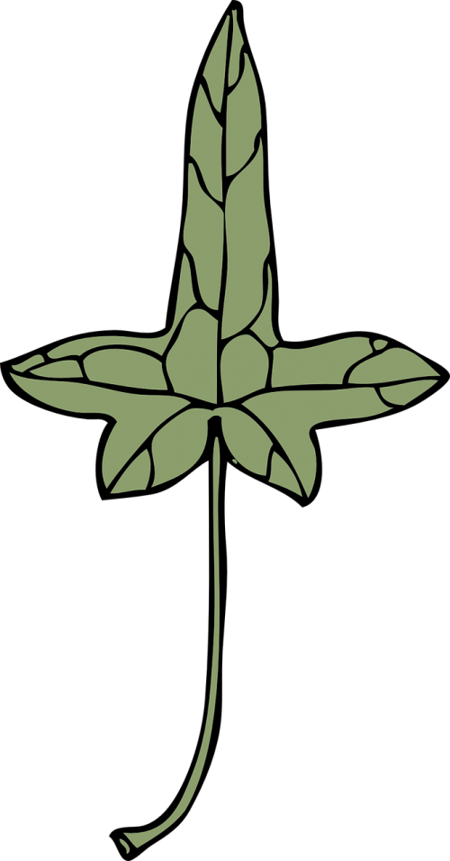 ivy leaf green