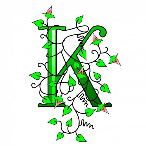 Ivy Capital Letter K