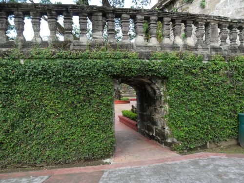 ivy covered ivy gate