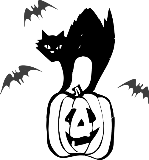 jack o lantern black cat pumpkin