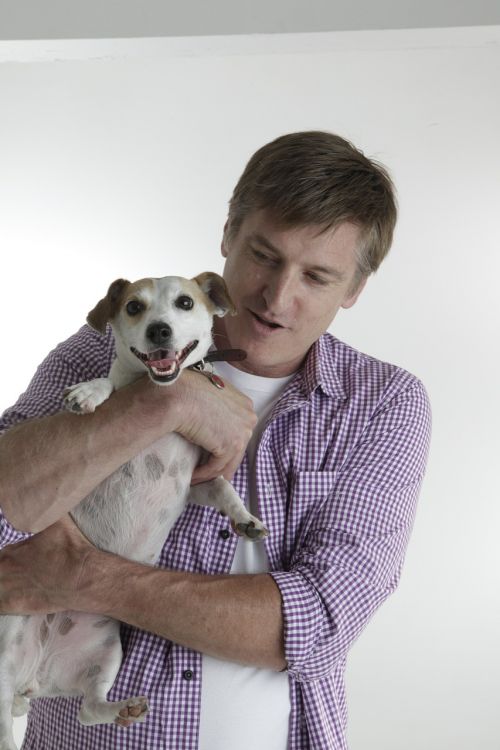 jack russell pet dog