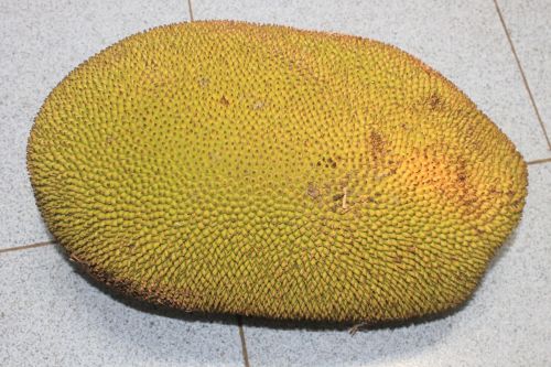 jackfruit food indonesia