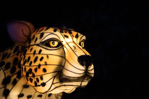 jaguar light animal
