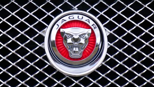 jaguar logo emblem