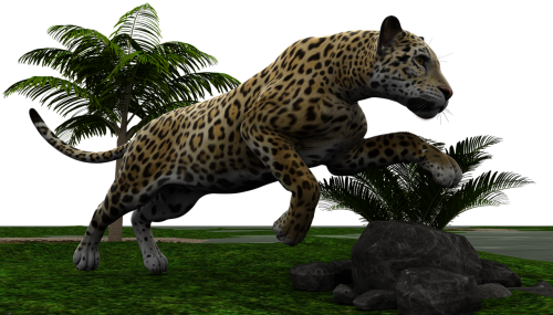 jaguar cat wildcat