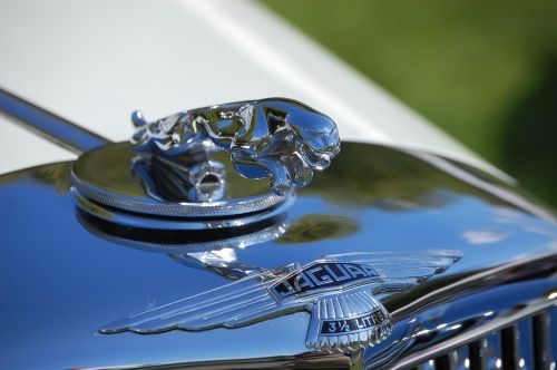jaguar hood ornament car