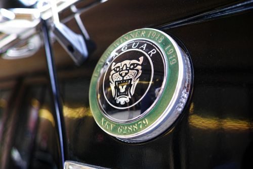 jaguar car black