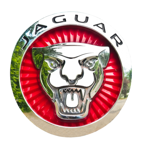 jaguar emblem car brand