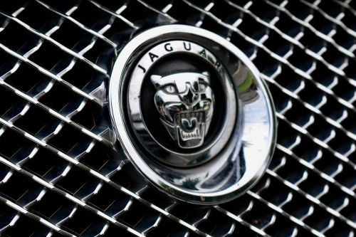 jaguar auto vehicle