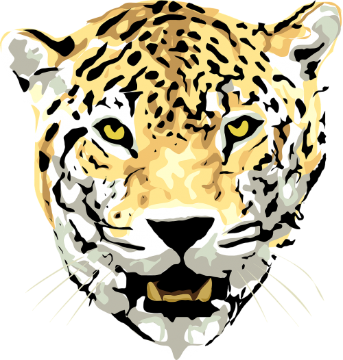 jaguar leopard animal