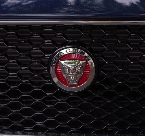 jaguar automotive emblem