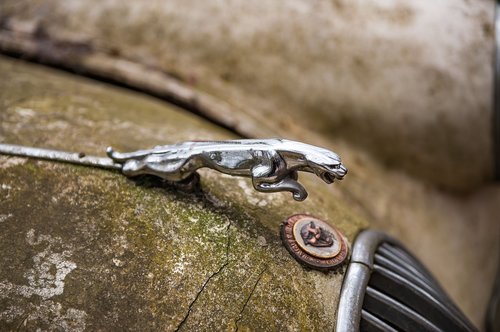 jaguar  classic car  oldtimer