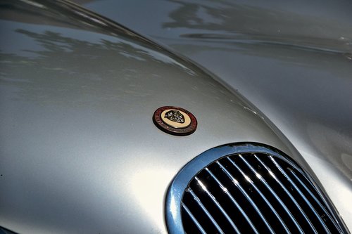 jaguar  hood  logo