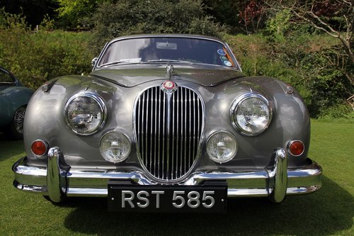 jaguar  car  classic