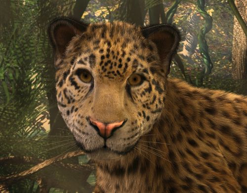 jaguar big cat big cat face