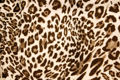 Jaguar Textile Background 10