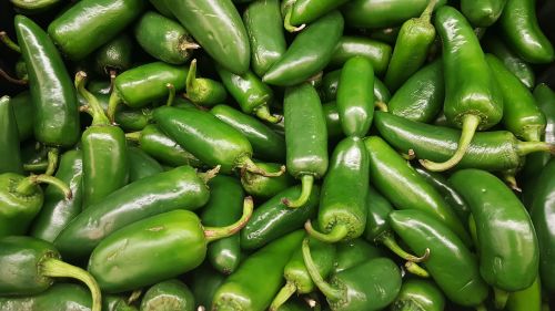 jalapeños chili peppers