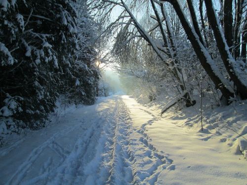 january winter way allgäu winter