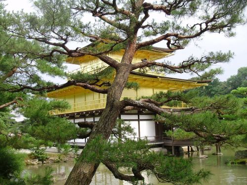 japan kioto temple