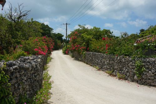 japan okinawa landscape