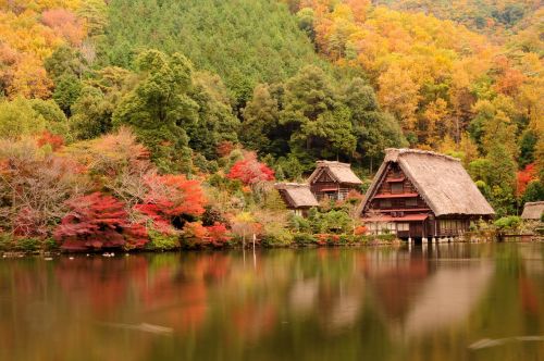 japan traditional house lake