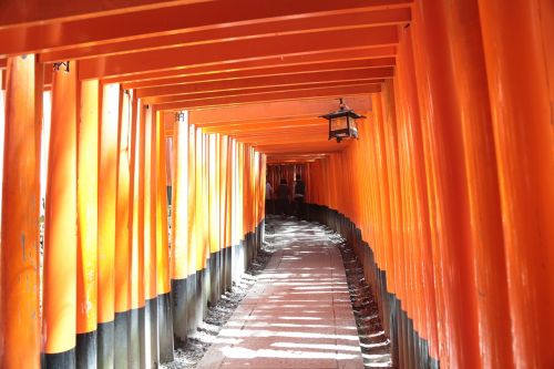 japan kyoto shrine