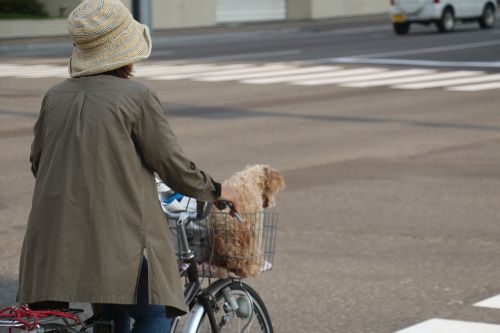 japan street view woman