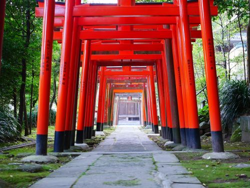 shrine torii japan