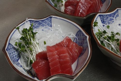 japan sushi salmon