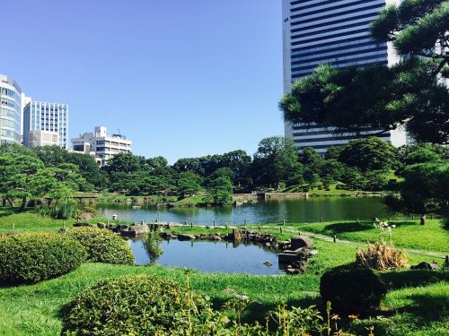 japan tokyo garden