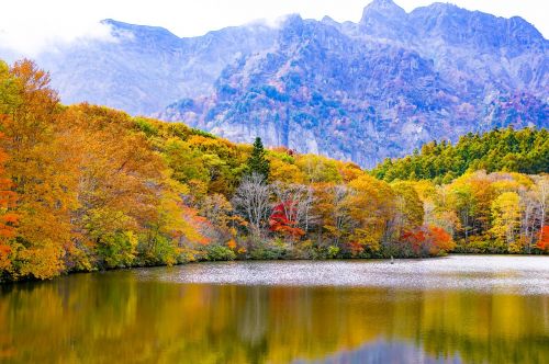 japan togakushi autumnal leaves