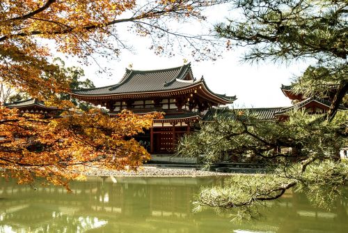 japan temple uji