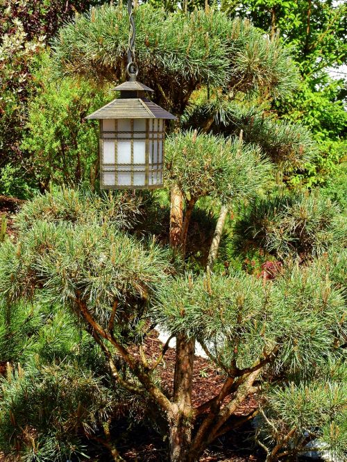 japan garden japanese garden lantern