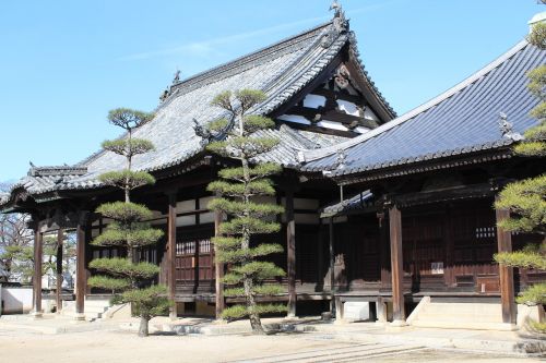 japan temple japanese