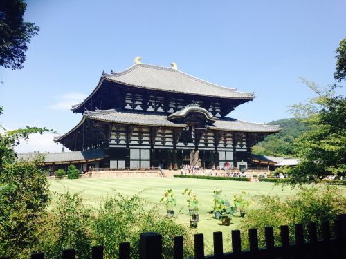 japan sanctuary buddha
