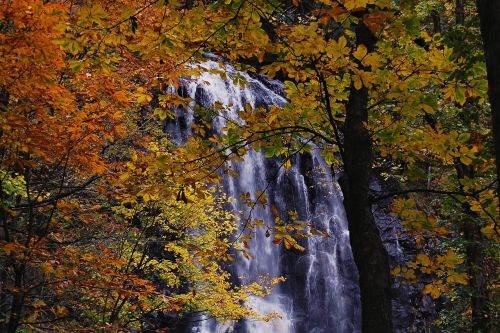 japan natural landscape