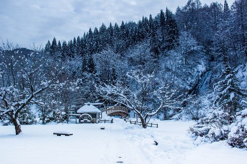 japan  winter  the four seasons
