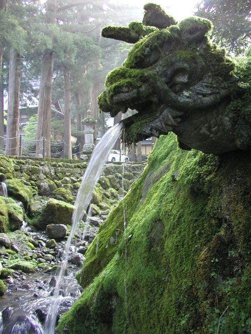 japan zen dragon