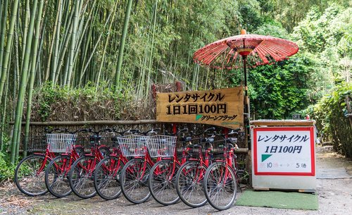 japan  bike rentals  bamboo forest