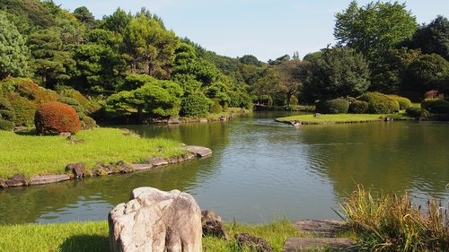 japan  garden  green